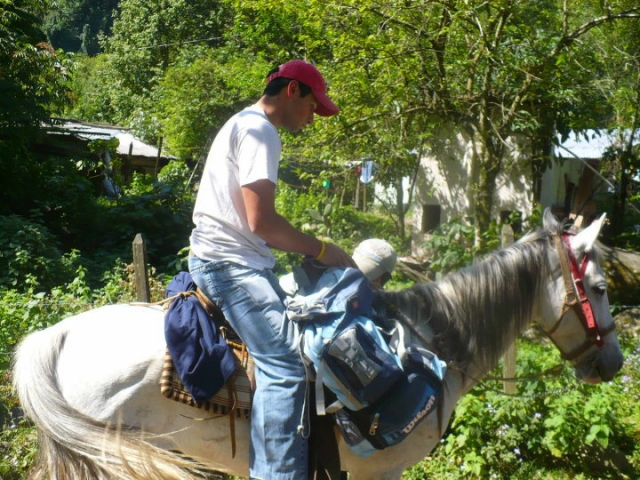 Cabalgatas guiadas.jpg